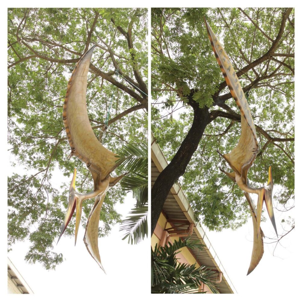 Prehistoric Dinosaur sculpture Pteranodon hanging m wing span Product Image V px px