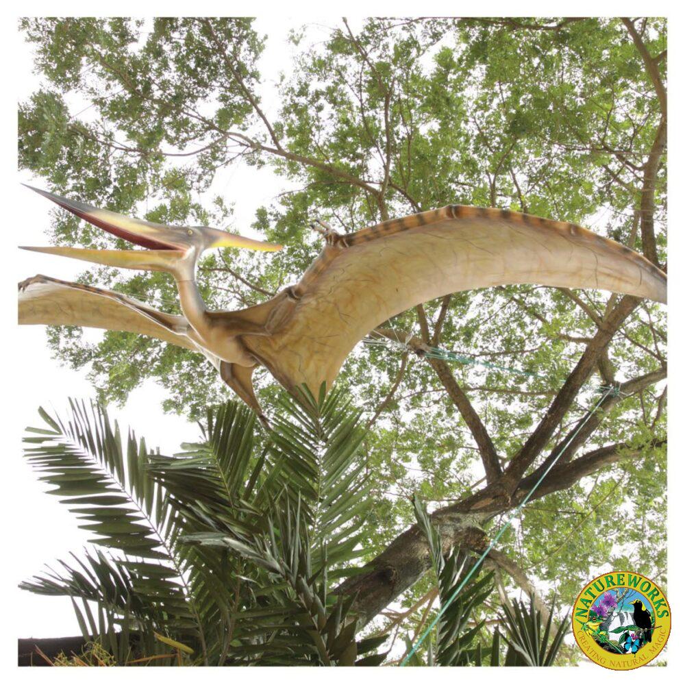 Prehistoric Dinosaur sculpture Pteranodon hanging m wing span Product Image V px px