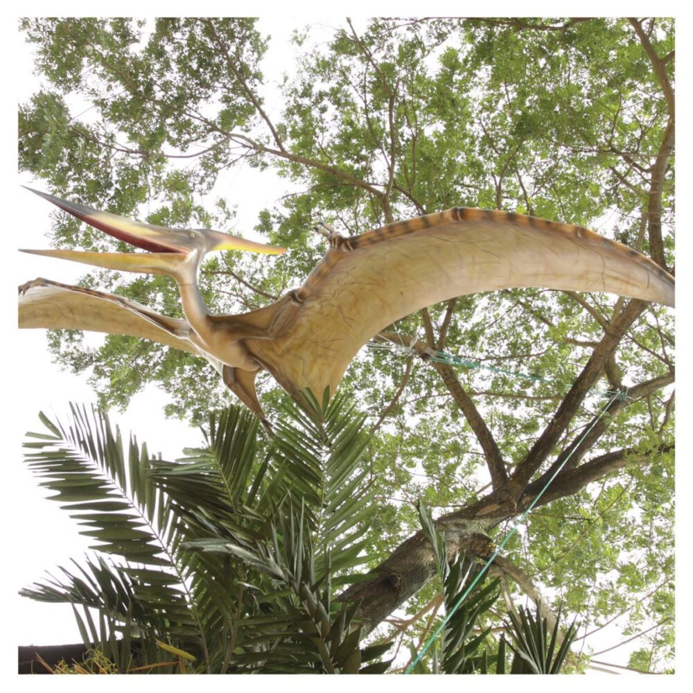 Prehistoric Dinosaur sculpture Pteranodon hanging m wing span Product Image V px px