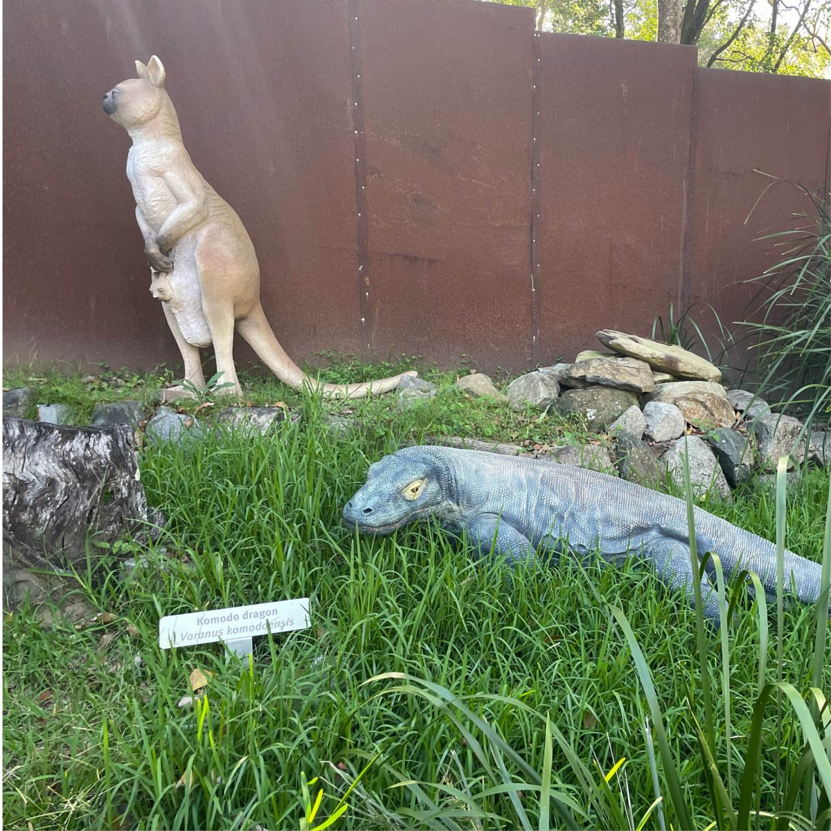 Natureworks Australia David Fleay Wildlife Park Megafauna Exhibit