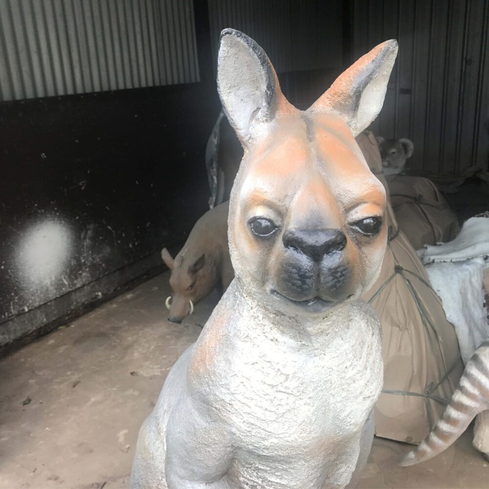 Natureworks Australia Procoptodon pusio - sculpture - lifesize representation of Australian Megafauna Kangaroo - showing close up - front view of head
