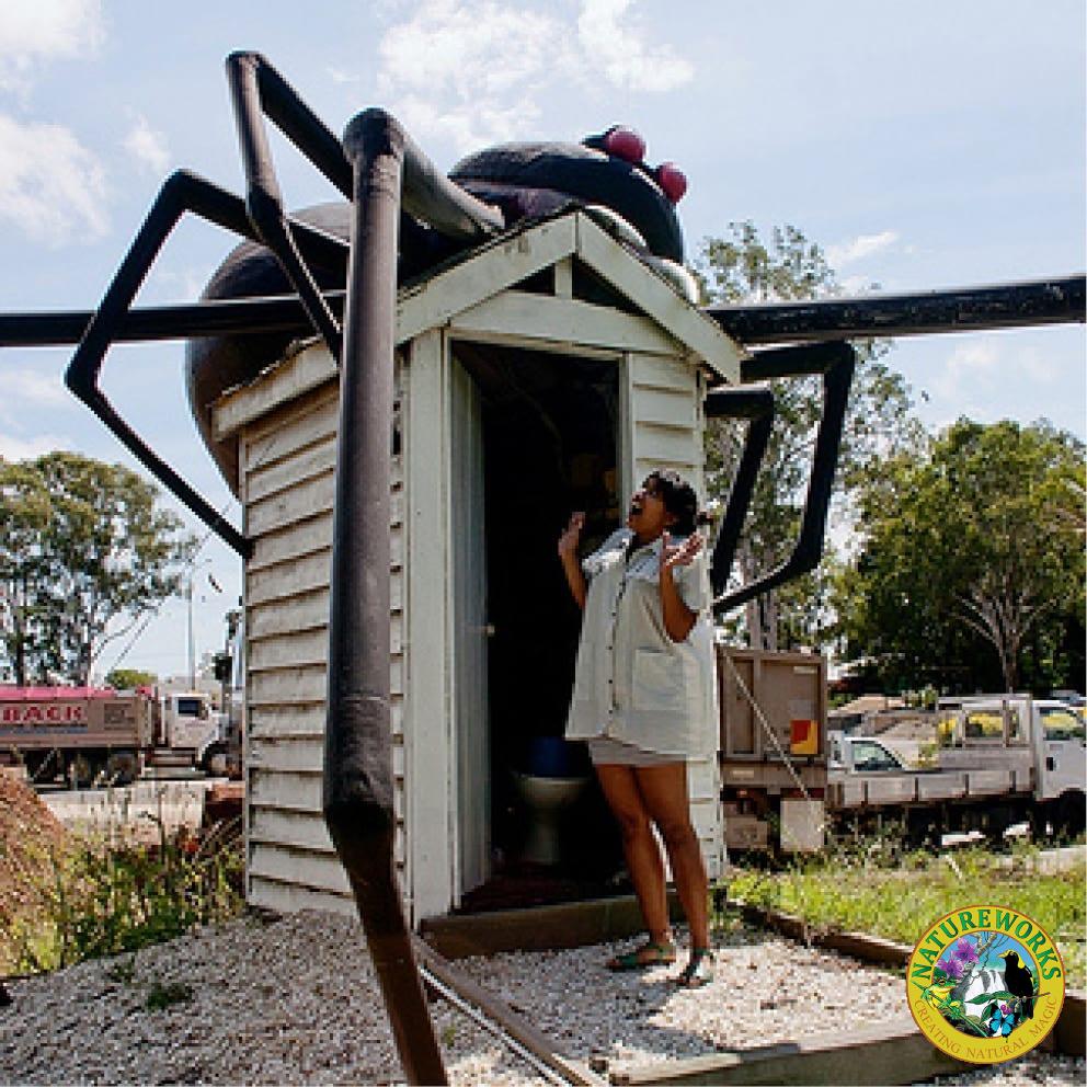 Redback Spider Giant with scared lady