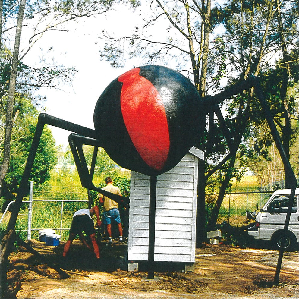 Natureworks Australia Redback Spider Rear View