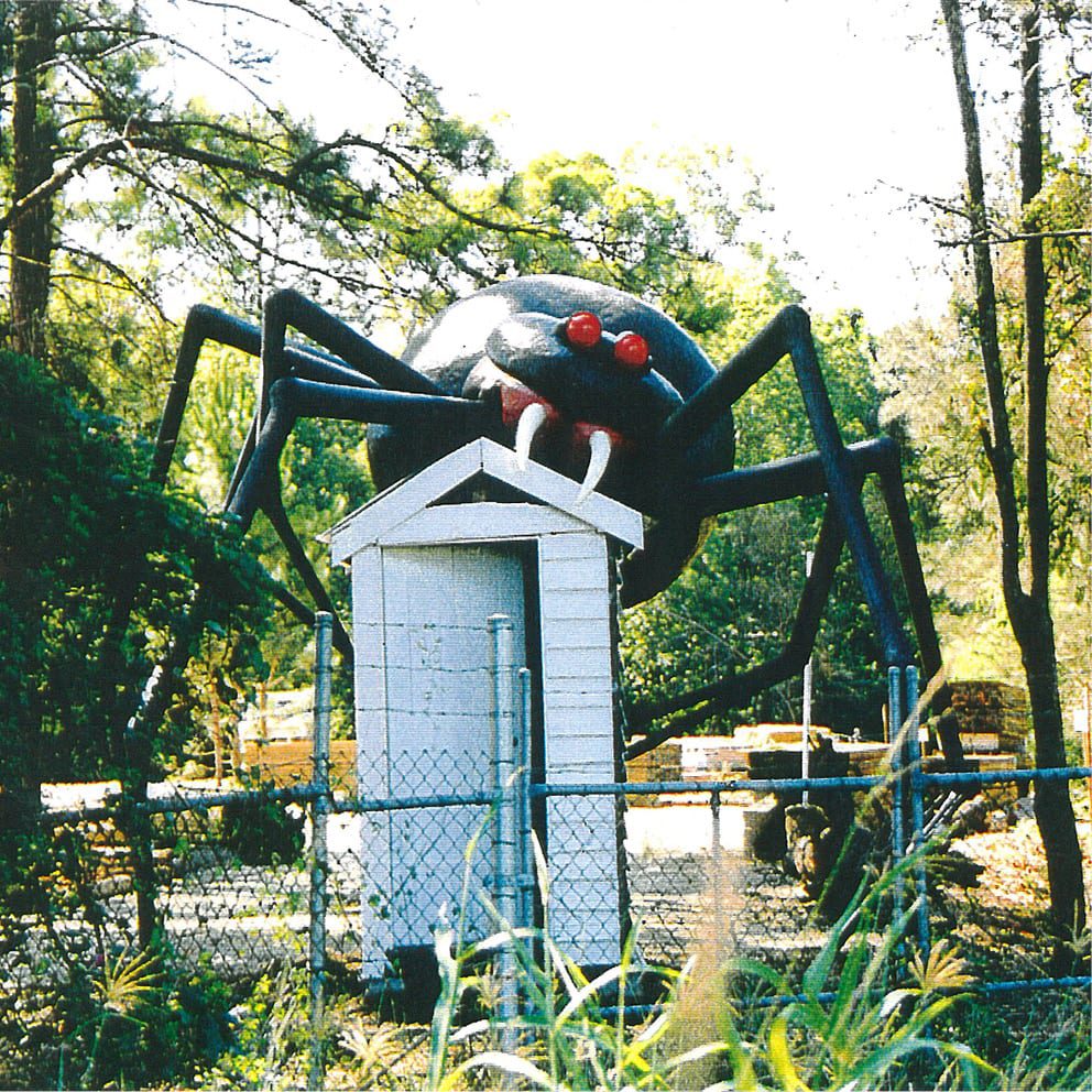 Natureworks Australia Redback Spider front view V