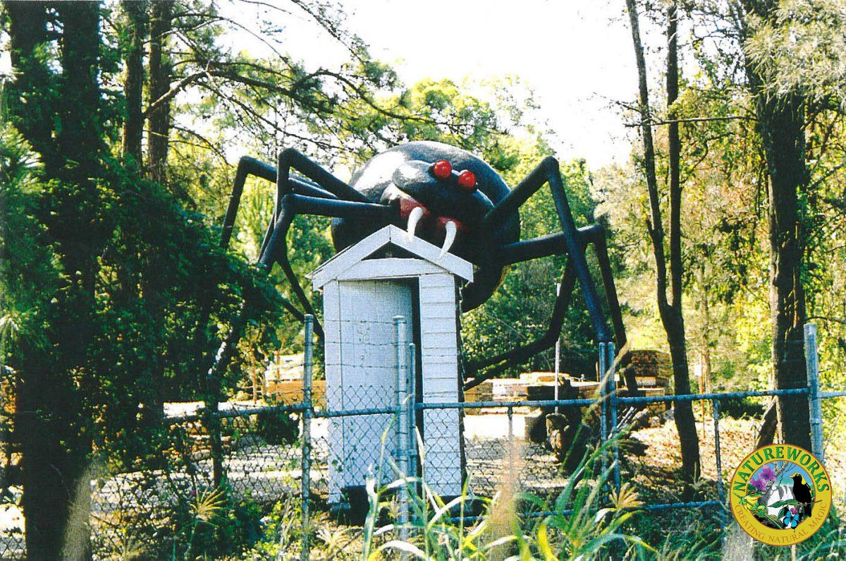 Redback Spider scares customers