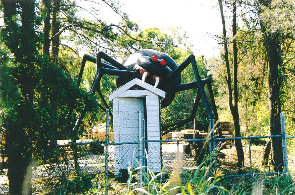 Redback Spider scares customers