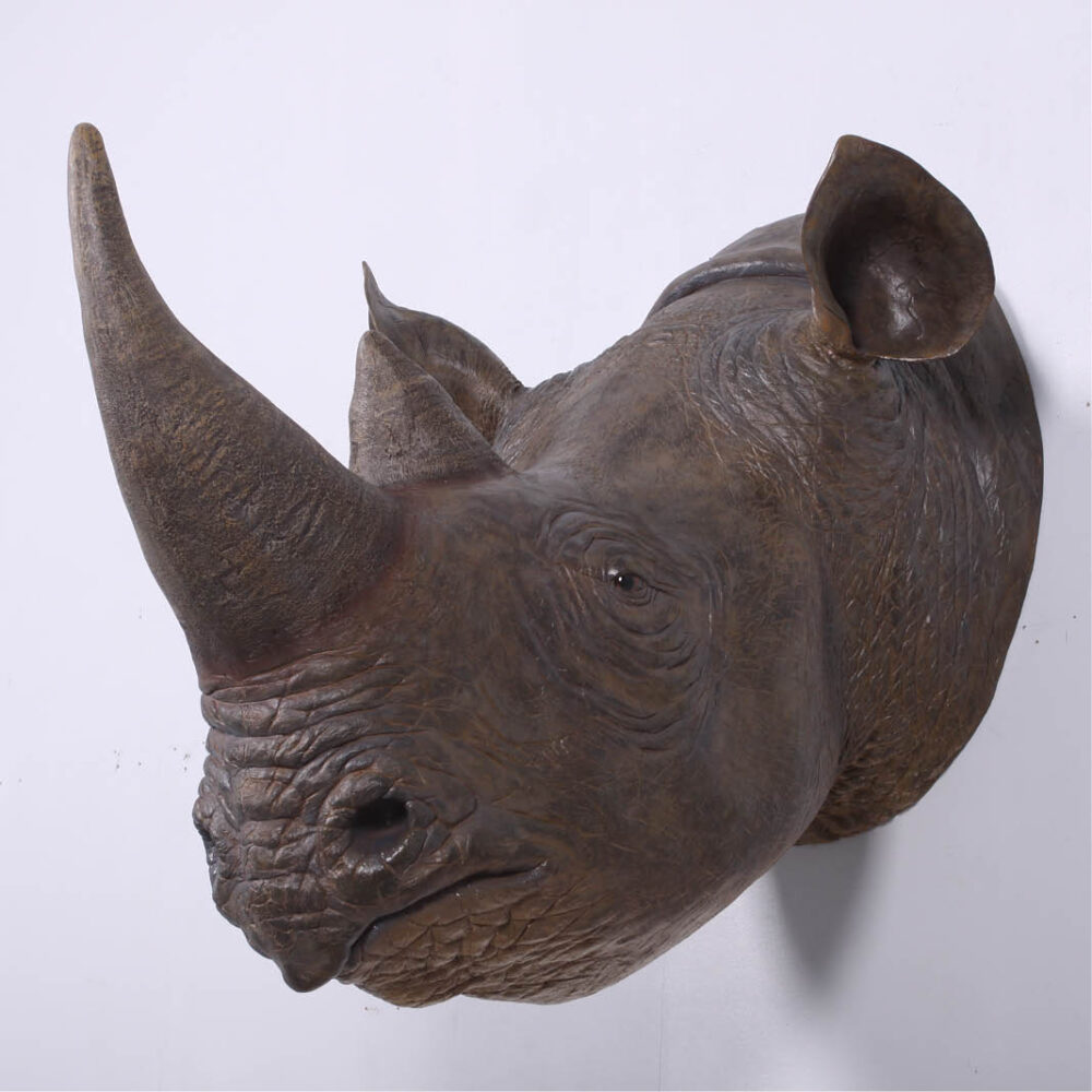 Rhinoceros Head - Wall decor - with mounting brackets - 140052- showing angle view