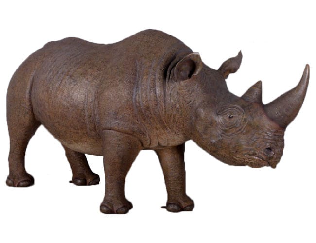 Rhinoceros Adult Black Large