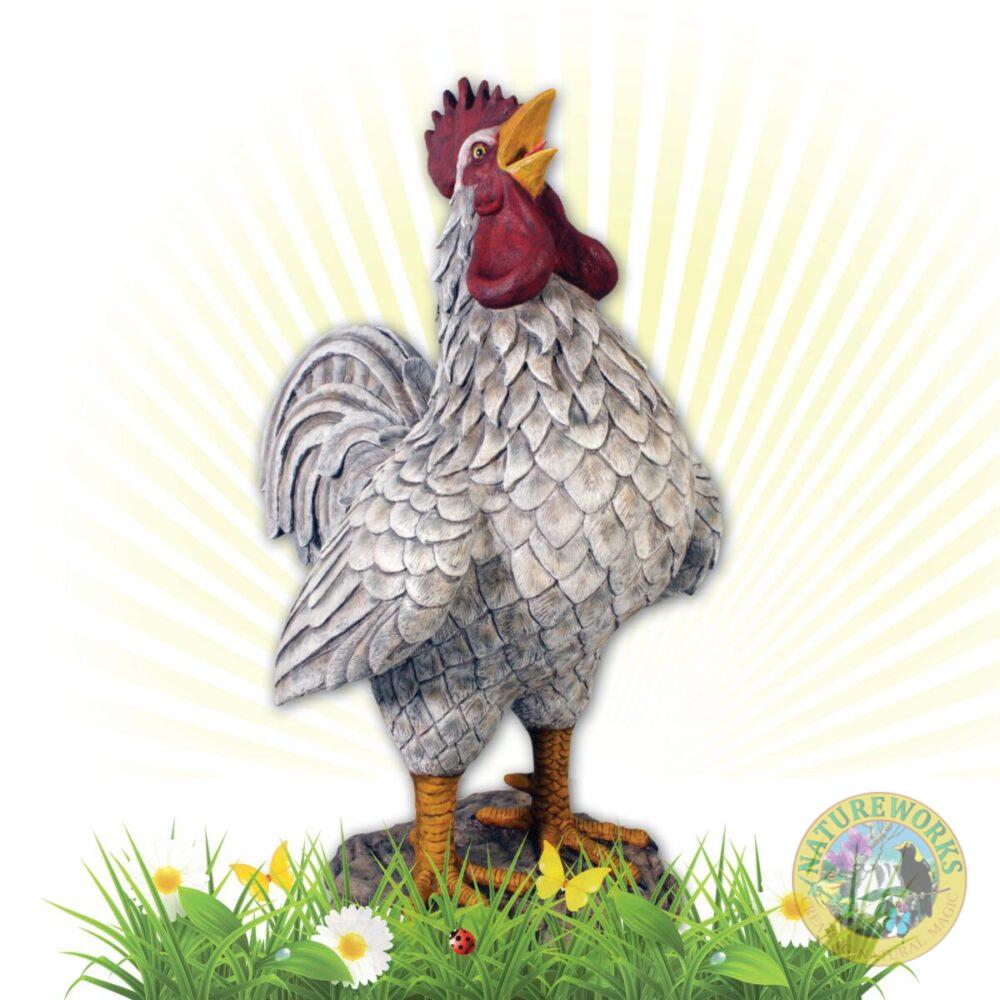Natureworks Australia Rooster - Colossal barnyard white - 110114 - - shown with early morning sun rays