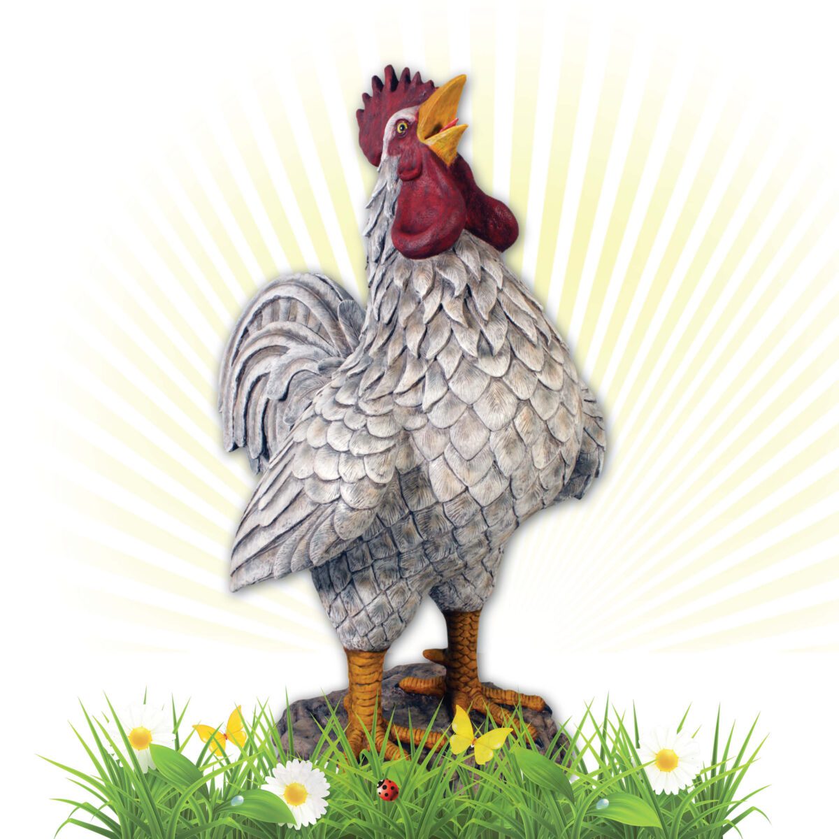 Natureworks Australia Rooster - Colossal barnyard white - 110114 - - shown with early morning sun rays