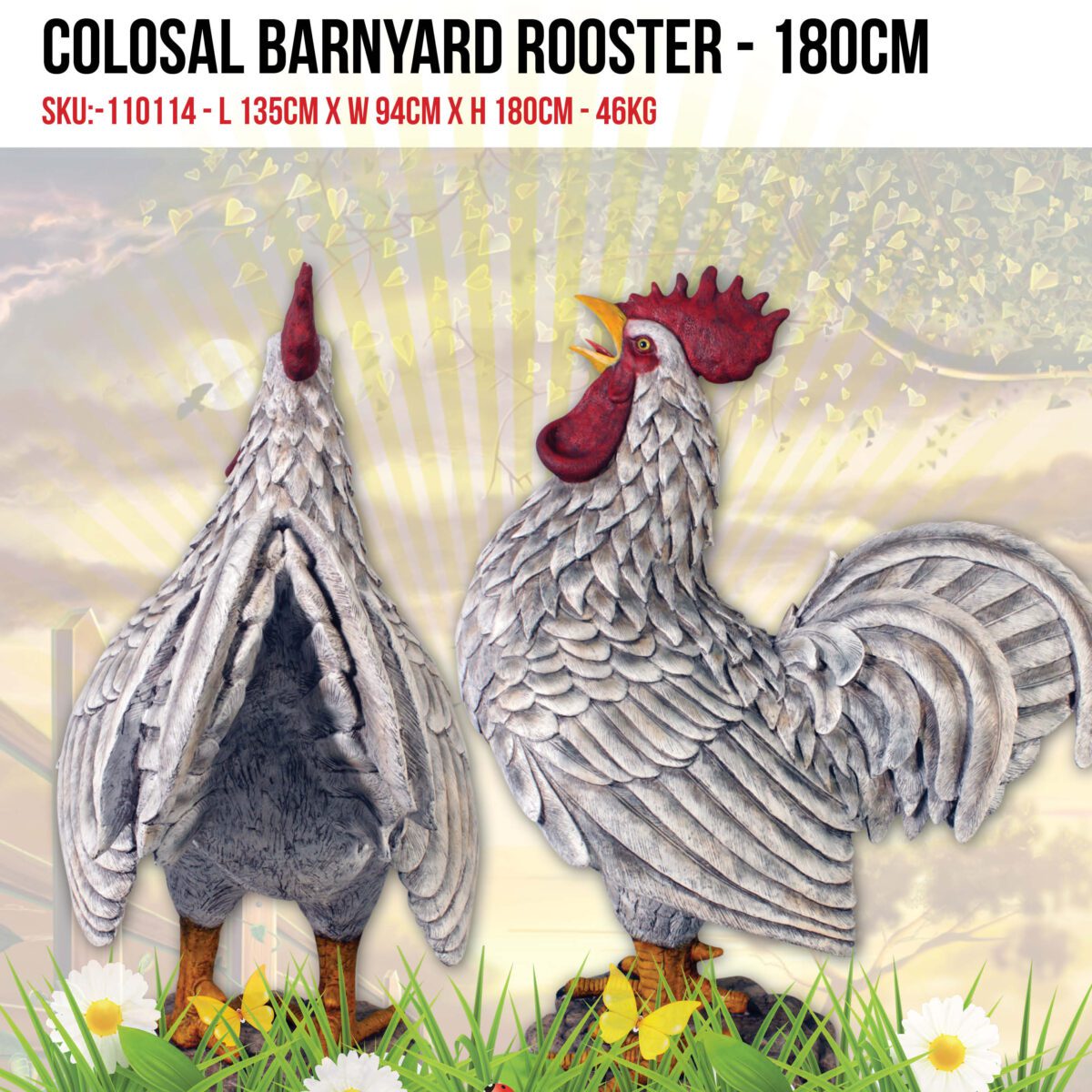 Natureworks Australia Rooster - Colossal barnyard white - 110114 -with sizes and weight