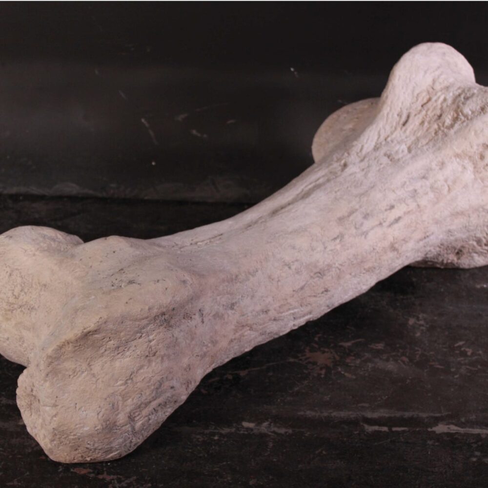 Sauropod FDinosaur Femur fossil bon rplica - 080129 in a roman stone fossil finish- angle view