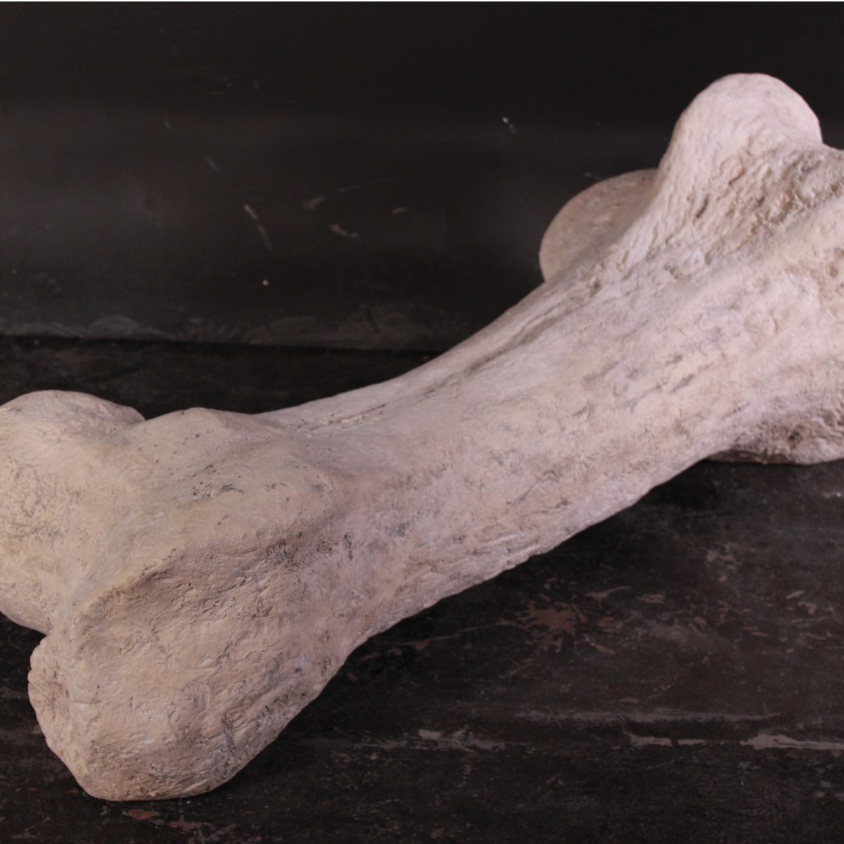 Natureworks Australia Sauropod FDinosaur Femur fossil bon rplica - 080129 in a roman stone fossil finish- angle view