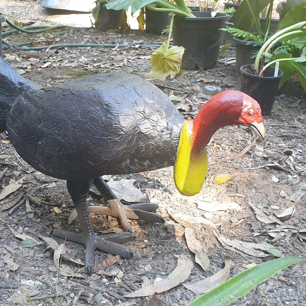Natureworks Australia unique Australian bird species Scrub or bush turkey