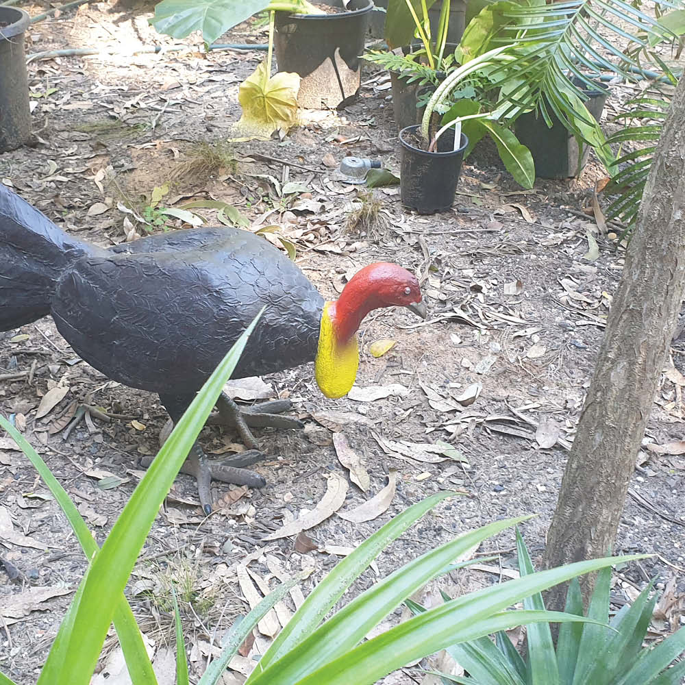 Natureworks Australia Scrub or Bush Turkey - Image 5