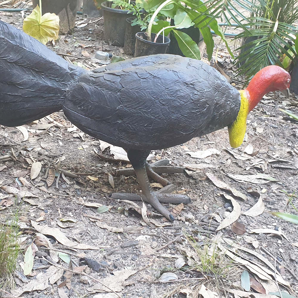 Natureworks Australia Scrub or Bush Turkey - Image 6