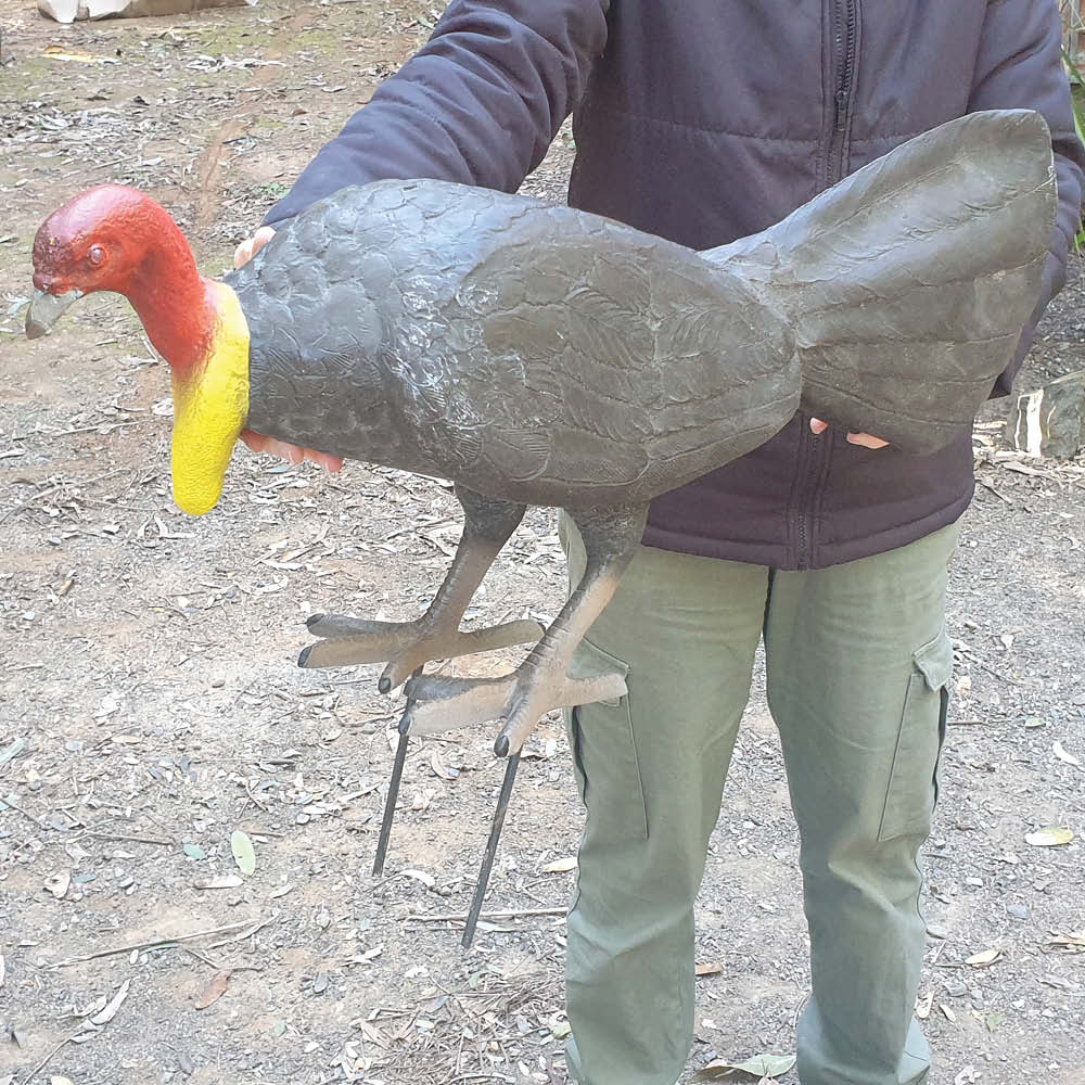 Natureworks Australia Scrub or Bush Turkey - Image 3