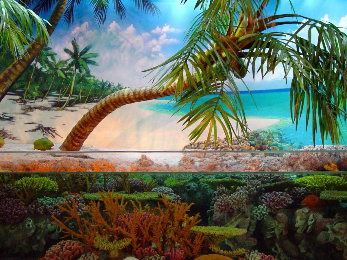 Shanghai Ocean Aquarium