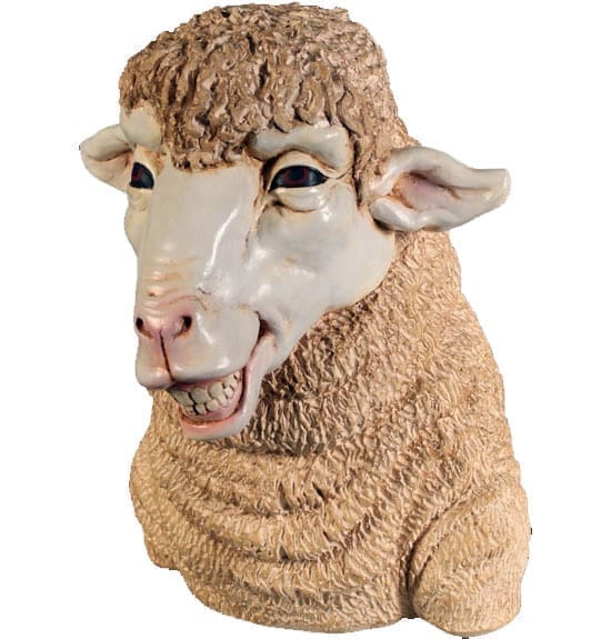 Sheep Head Smiling