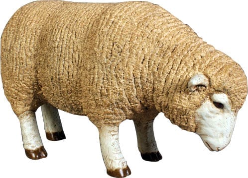 Sheep Merino Ewe Head Down Small