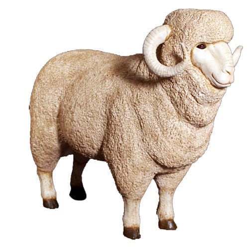 Sheep Merino Ram Large