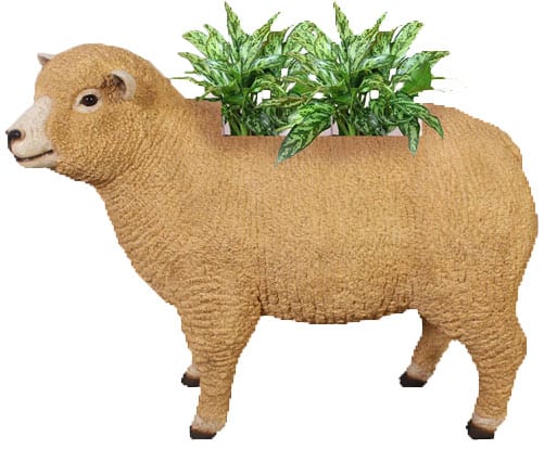 Sheep Ryeland Planter With plant