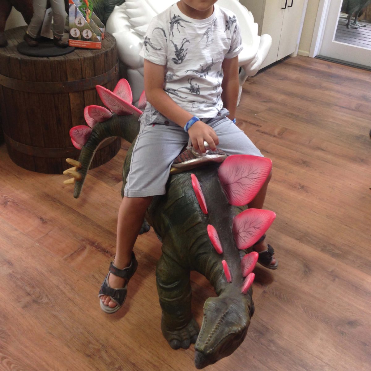 Natureworks Australia Stegosaurus Definitive Dinosaur with Sadd;e with little boy front bview - 150077