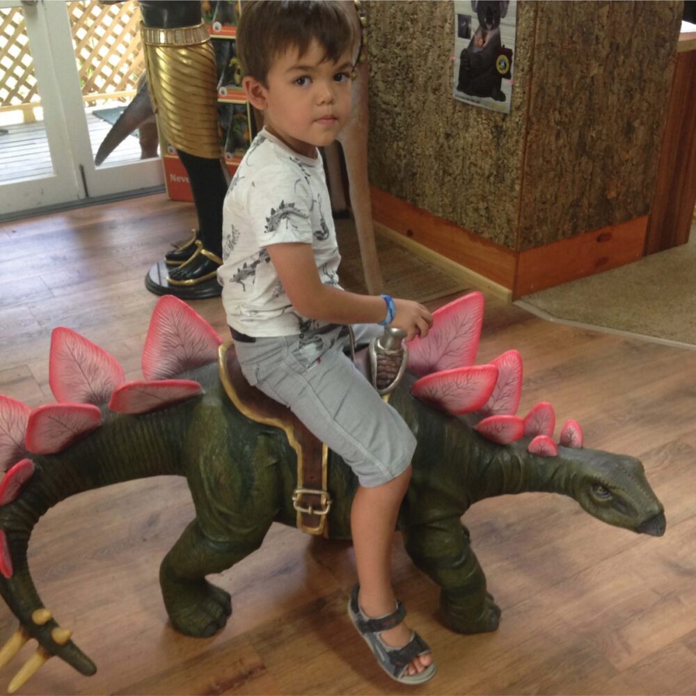 Stegosaurus Definitive Dinosaur with Sadd;e sjpwomg ;ott;e bpu