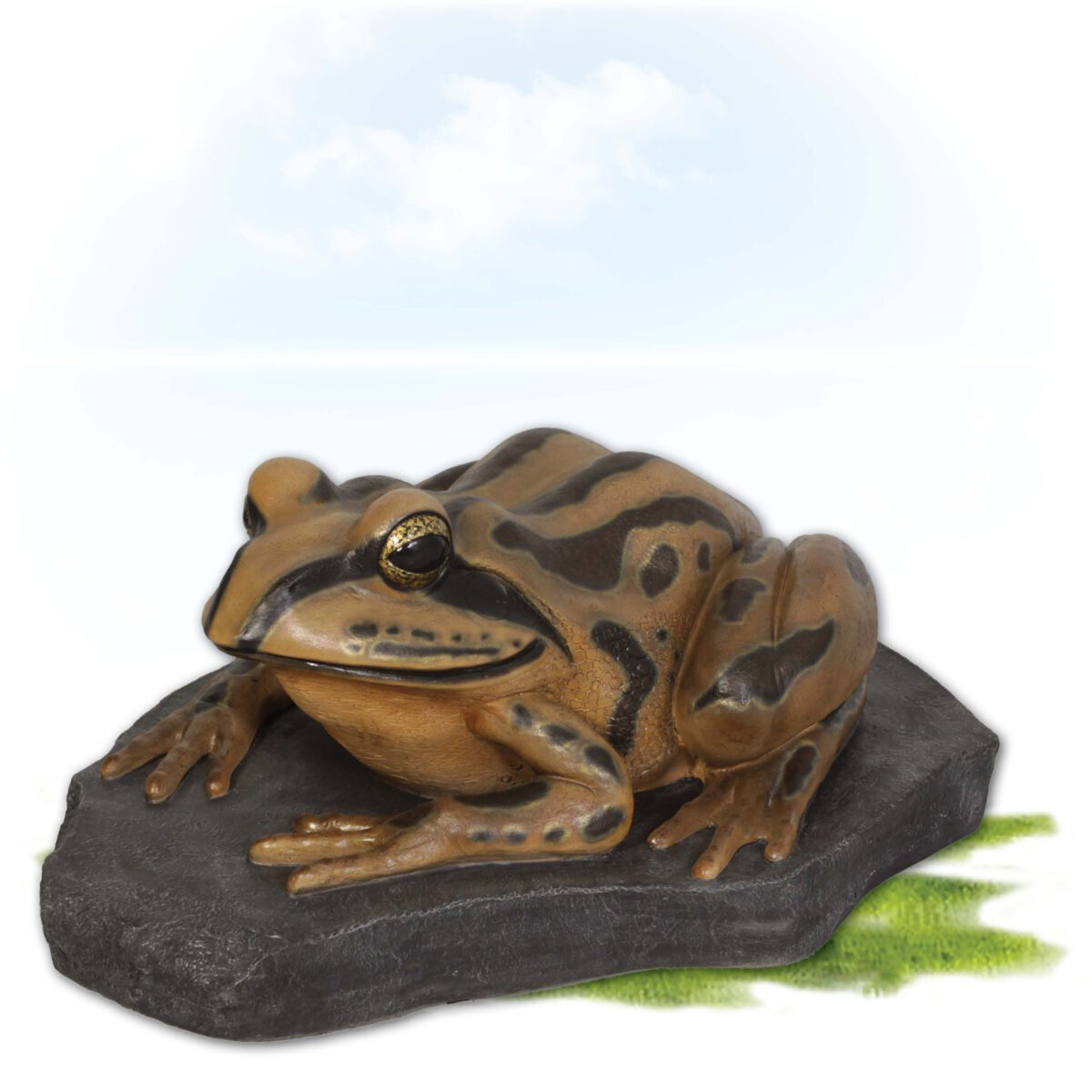Natureworks Australia Striped Marsh Frog on Rock - shown front angle view