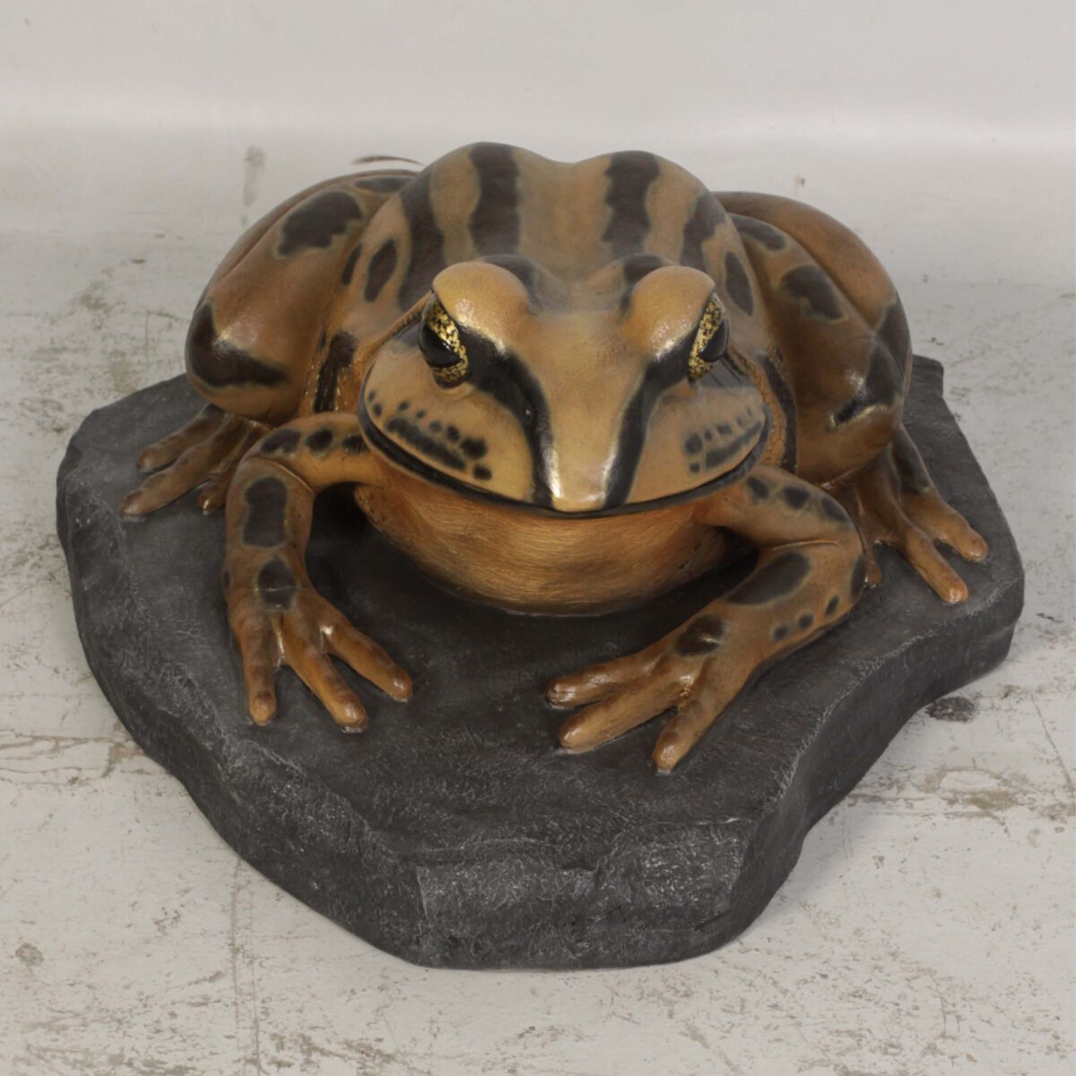 Natureworks Australia Striped Marsh Frog on Rock - front view 120070 -Image 6