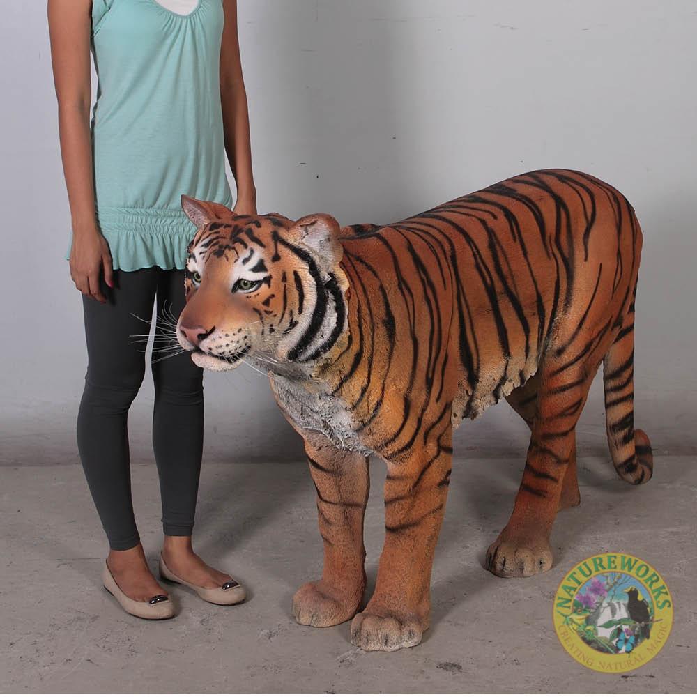 Natureworks Australia Sumatran Tiger - Image 7