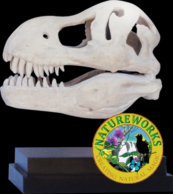 T Rex Dinosaur Skull on Base