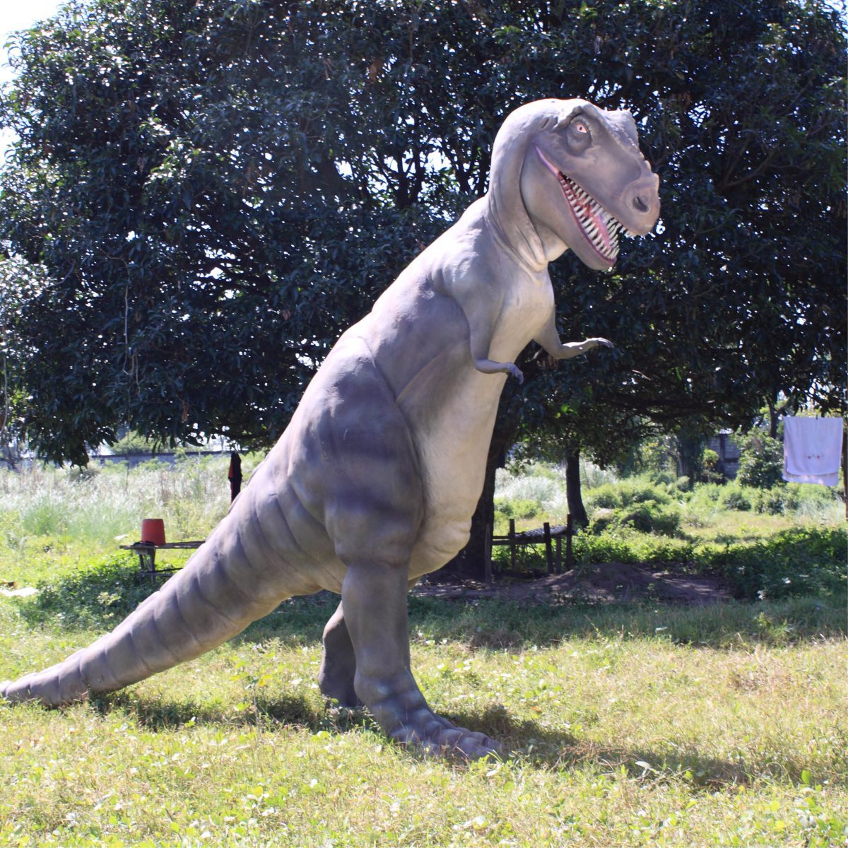 Natureworks Australia T_Rex_Dinosaur_Standing_Large-080126 -Outside in paddock