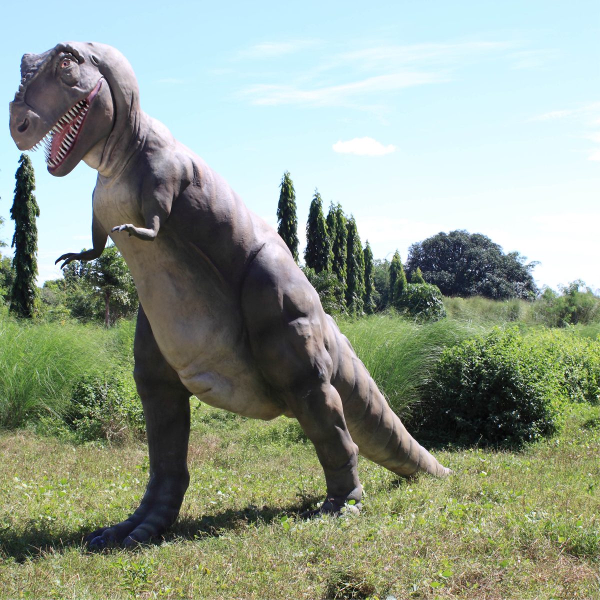 Natureworks Australia T_Rex_Dinosaur_Standing_Large-080126 - front angle view