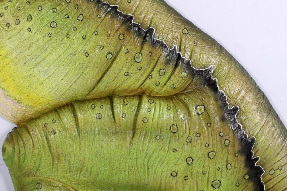 Natureworks Australia Tyrannosaurus Rex - Wall Decor - 140027 - statue close up of paint detail