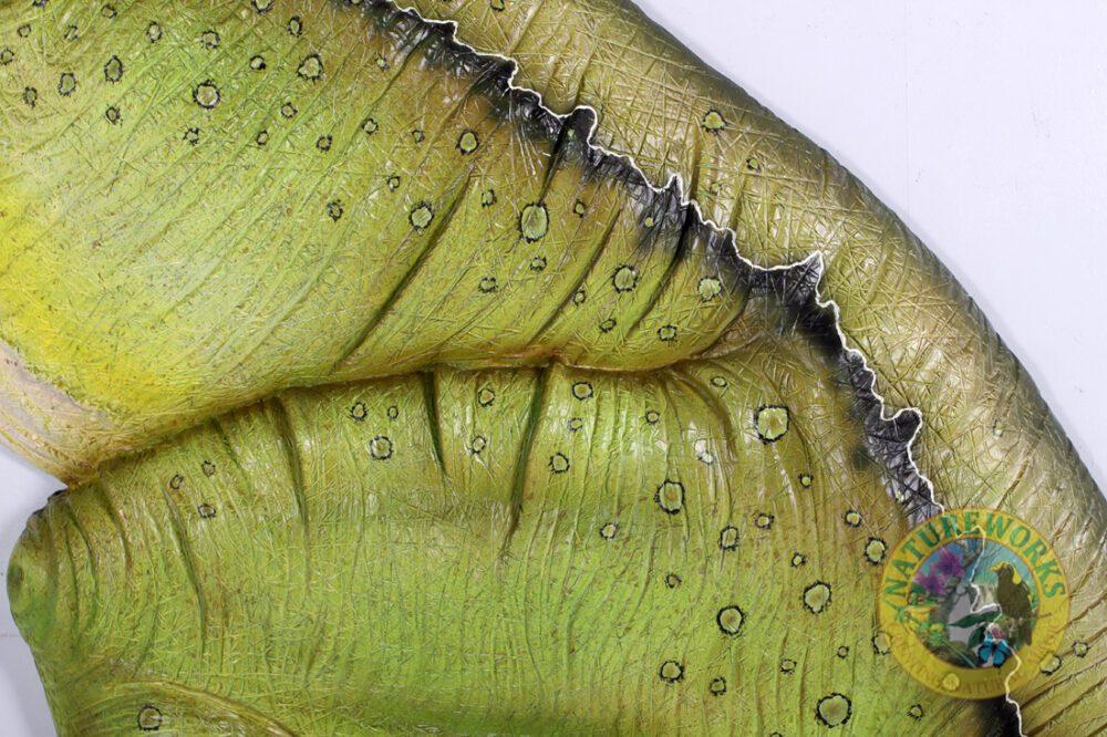 Natureworks Australia Tyrannosaurus Rex - Wall Decor - 140027 - statue close up of paint detail