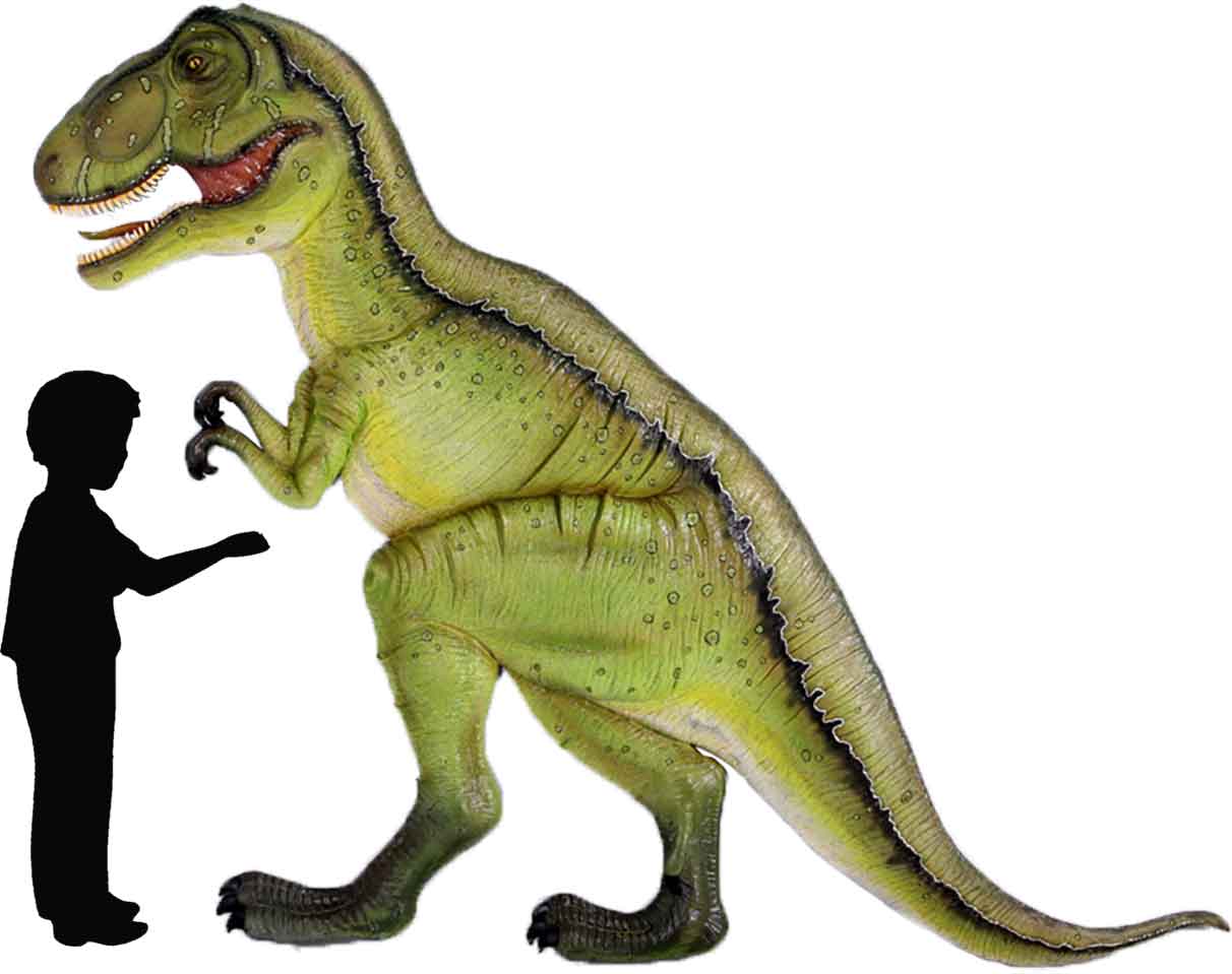 Natureworks Australia Tyrannosaurus Rex - Wall Decor - 140027 - statue