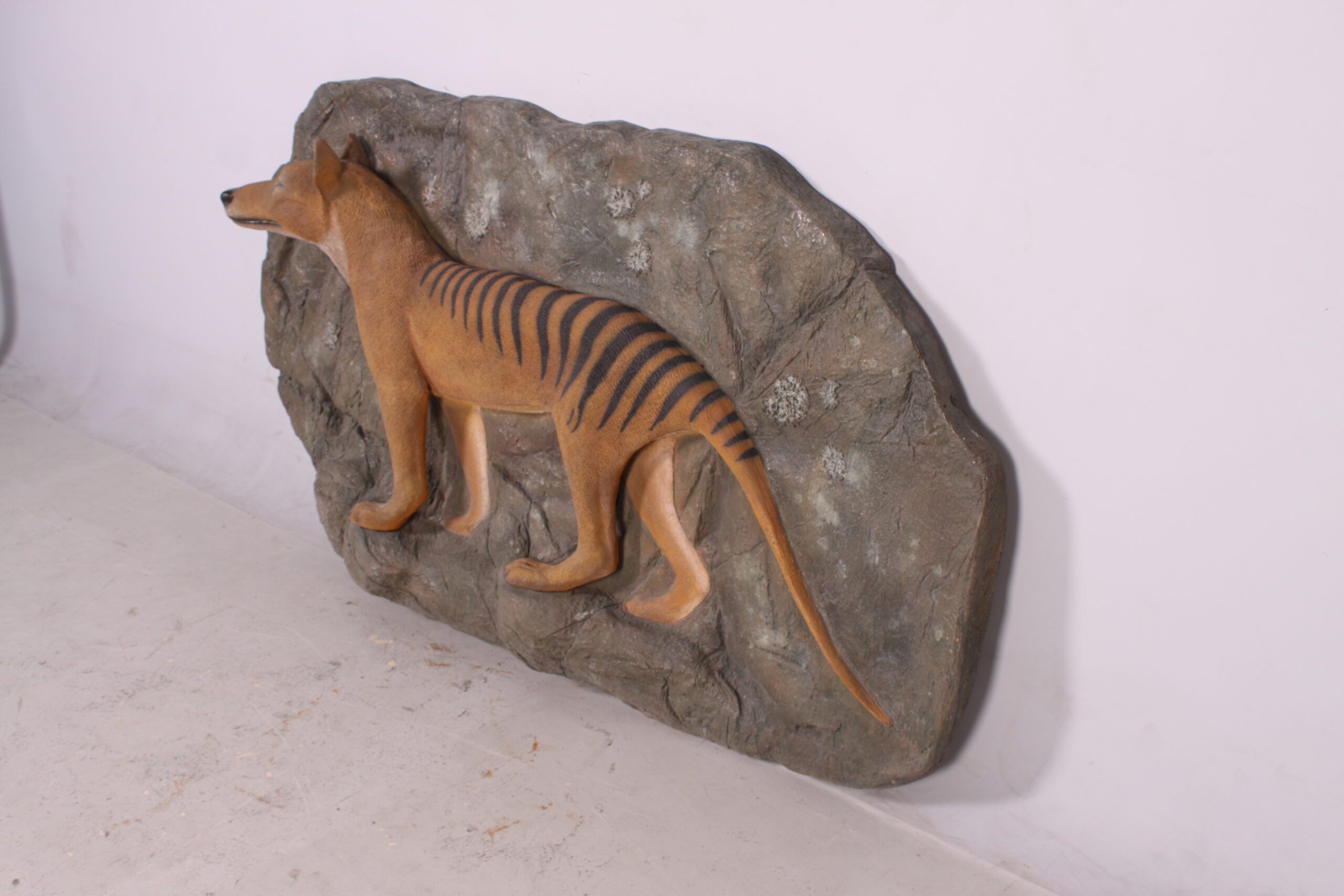 Natureworks Australia Thylacine - Tasmanian tiger on rock plinth - 090020- angle view