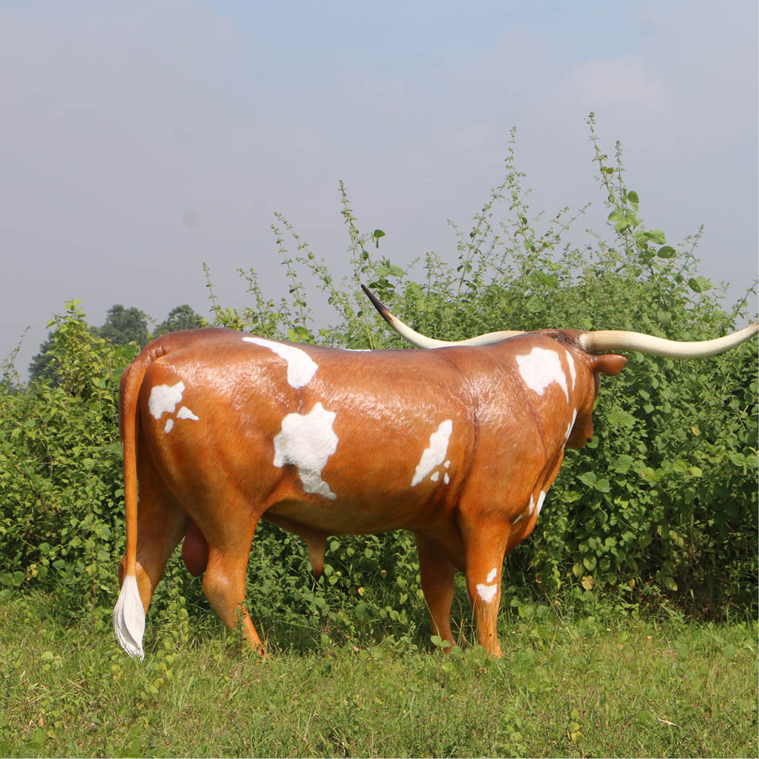 Natureworks Australia Texas Longhorn bull- life-size statue- showing year angle view outside -170163