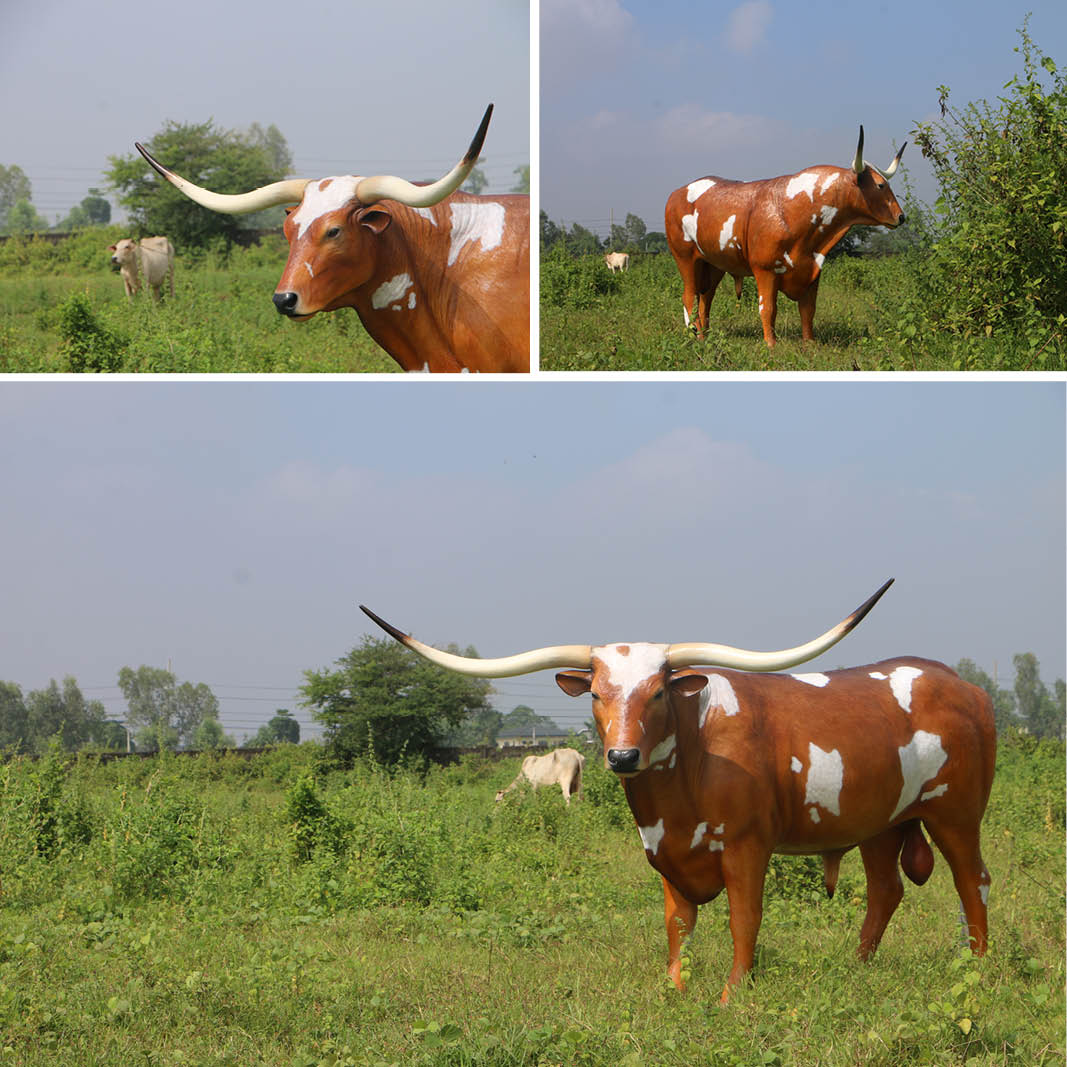 Natureworks Australia Texas Longhorn bull- life-size replica - showing various views-170163