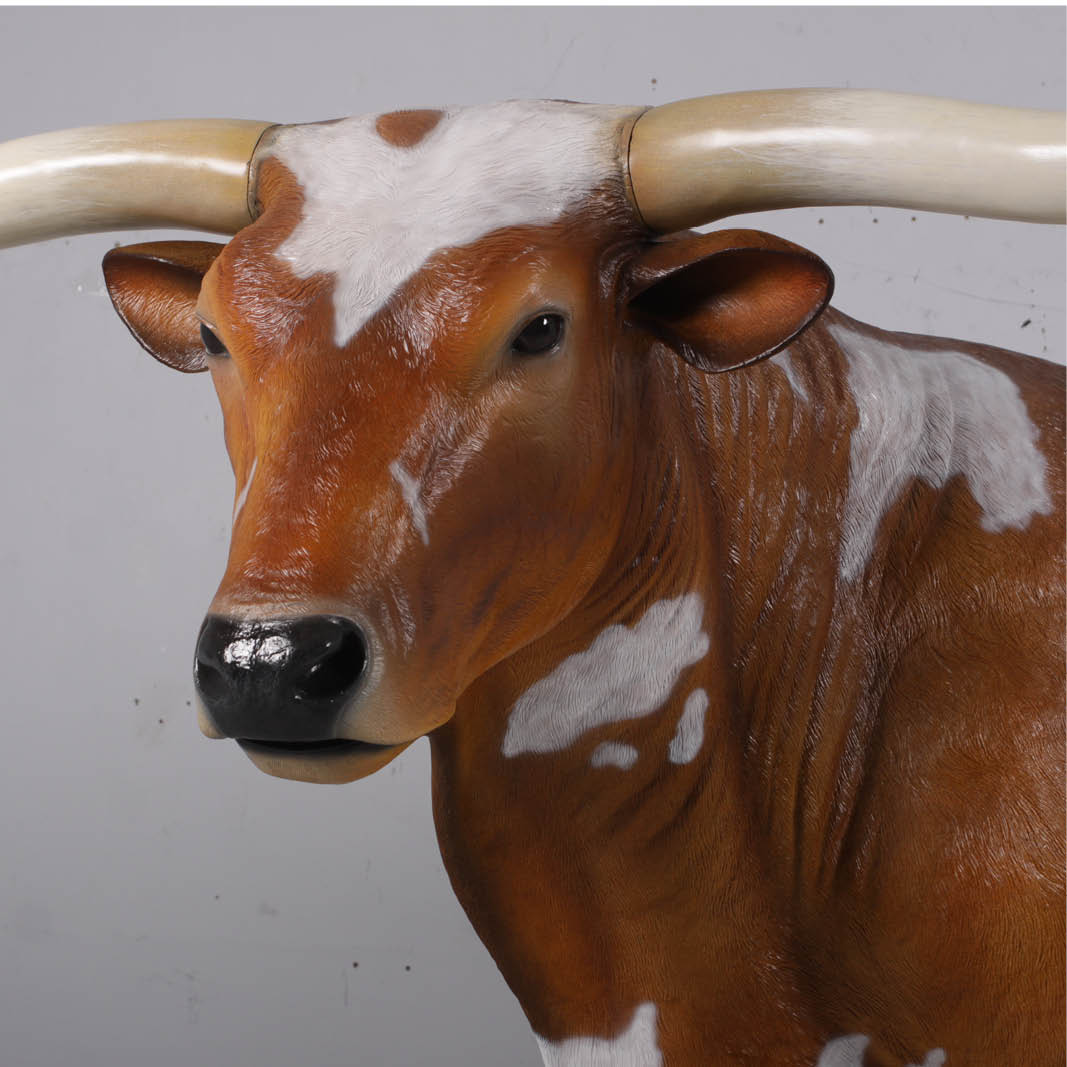 Natureworks Australia Texas Longhorn bull- life-size replica - showing close up of head-170163