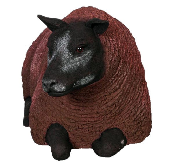 Texelaar Ewe Lying Brown BR head