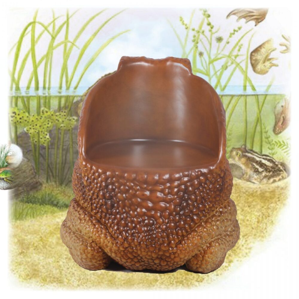Cane Toad Chair