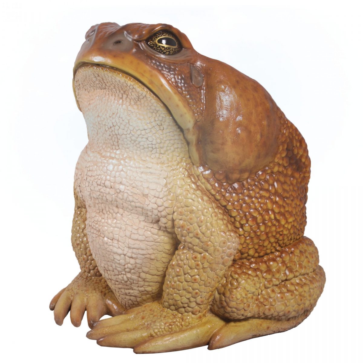 Natureworks Australia Toads Cane Toad Chair Product Image V px px