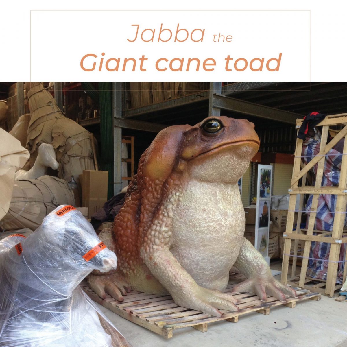 Natureworks Australia Toads - Cane Toad - Giant 2m high_in warehouse shed