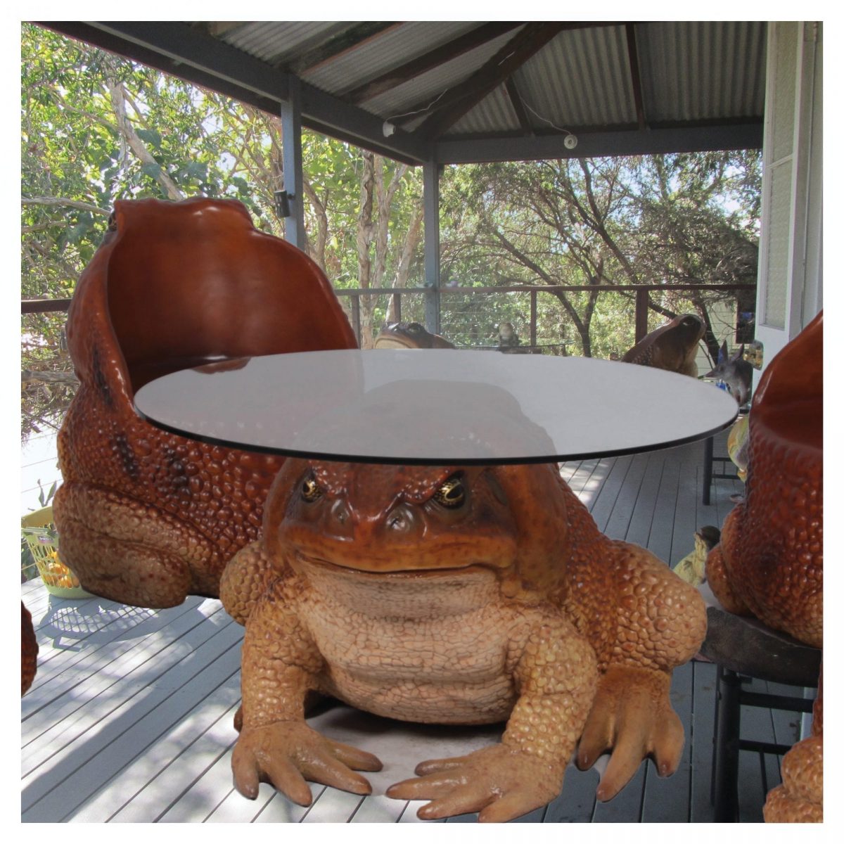 Natureworks Australia CaneToadTable Large