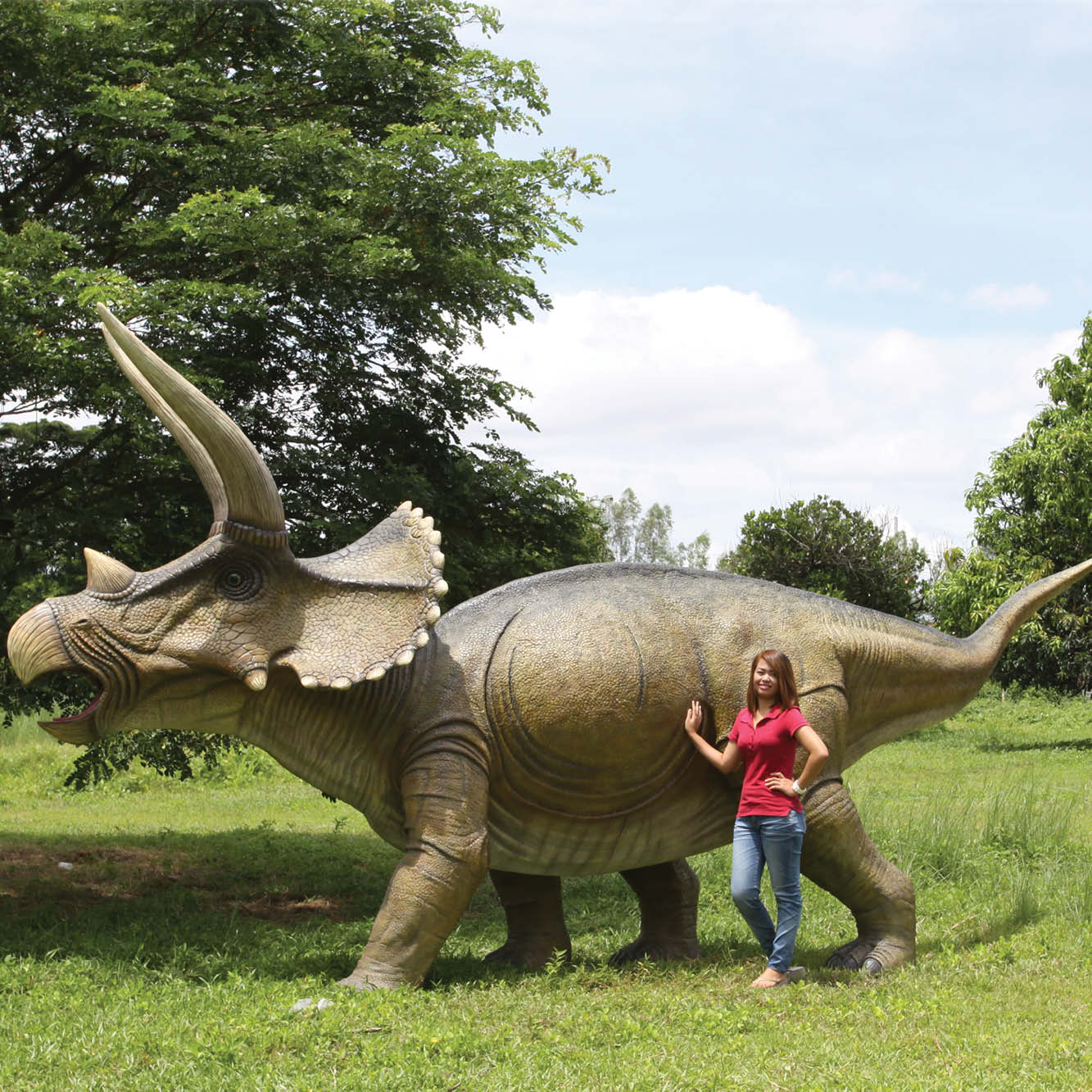 Natureworks Australia Triceratops dinosaur - Giant - SKU 140098 - shown with lady