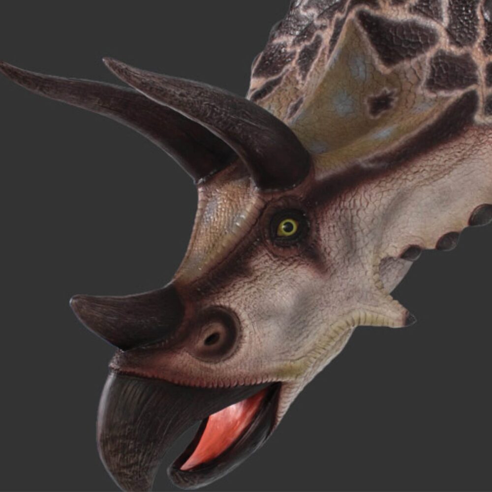 Triceratops Dinosaur Head & Neck Medium - Image 3