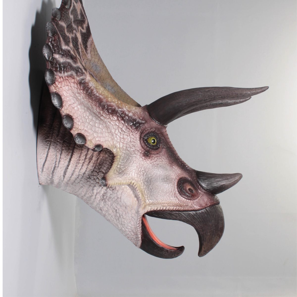 Natureworks Australia Triceratops Dinosaur Head & Neck - Medium - wall deocr