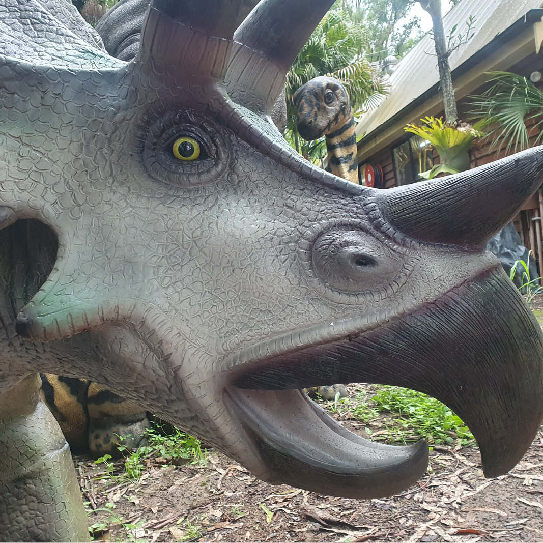 Natureworks Australia Triceratops Dinosaur - Medium 100048-close up of head